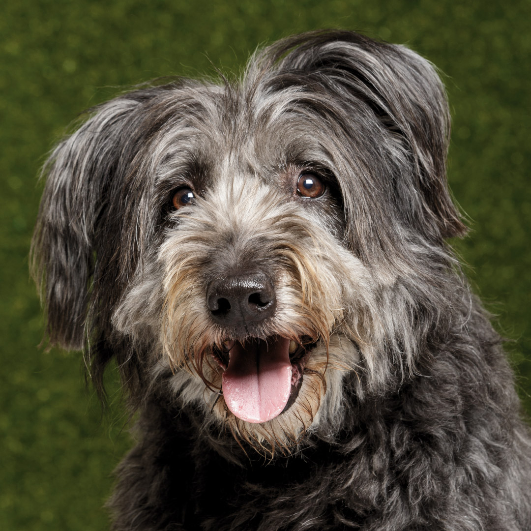 Max, 4